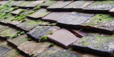 Chatteris roof repair costs